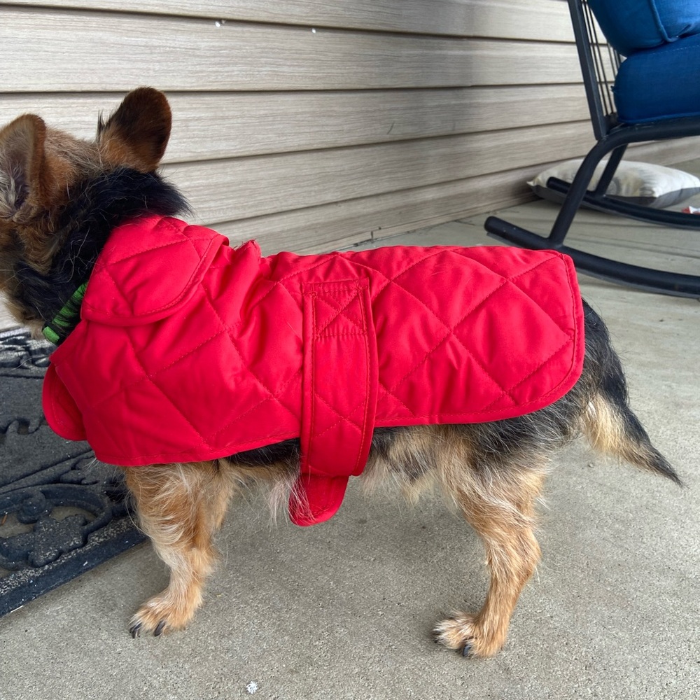 Red Stylish Dog Jacket